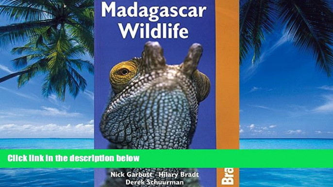 Big Deals  Madagascar Wildlife 3rd (Bradt Travel Guide Madagascar Wildlife)  Best Seller Books