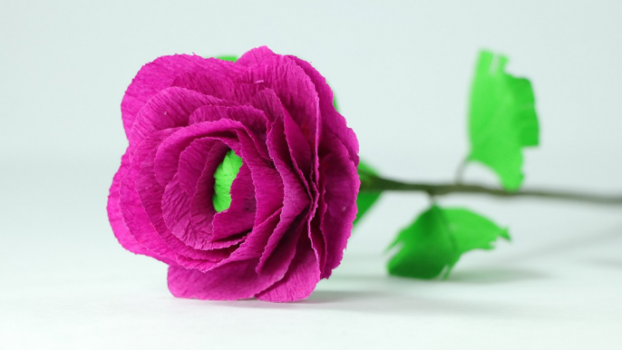 How to Make Crepe Paper Flowers - Easy Step by Step DIY Tutorial