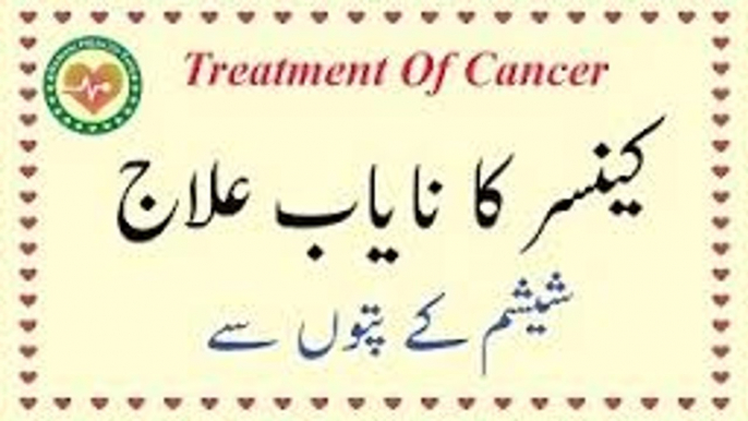 Cancer ka ilaj shisham ki pation say - شیشم کی پتیوں سے کینسر کا علاج