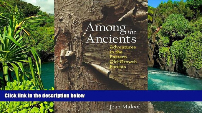 Ebook Best Deals  Among the Ancients: Adventures in the Eastern Old-Growth Forests  Buy Now