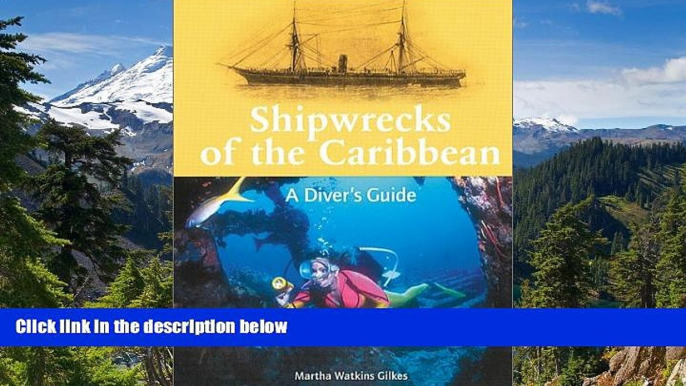 Must Have  Shipwrecks of the Caribbean - A Diver s Guide  Most Wanted