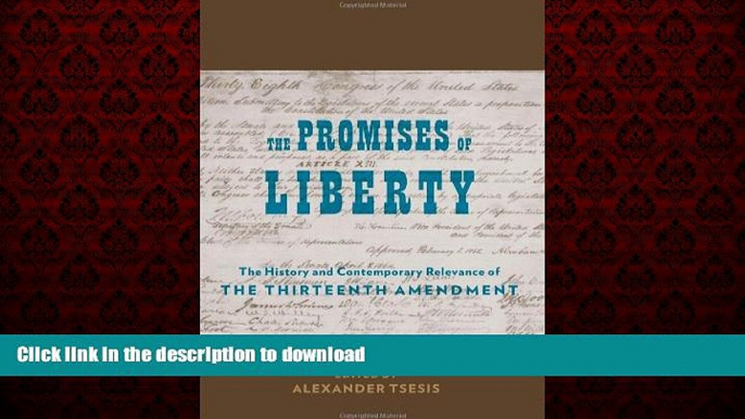 Read book  The Promises of Liberty: The History and Contemporary Relevance of the Thirteenth