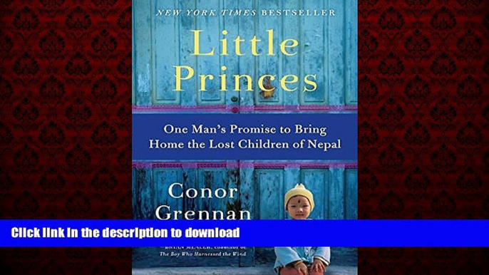 liberty books  Little Princes: One Man s Promise to Bring Home the Lost Children of Nepal online