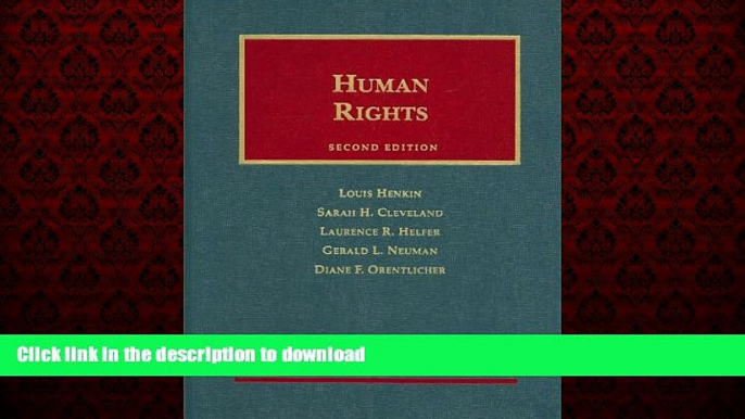 liberty book  Human Rights (University Casebook Series) online to buy