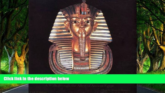 Deals in Books  Egyptian Museum In Cairo: A Walk Though the Alleys of Ancient Egypt  Premium