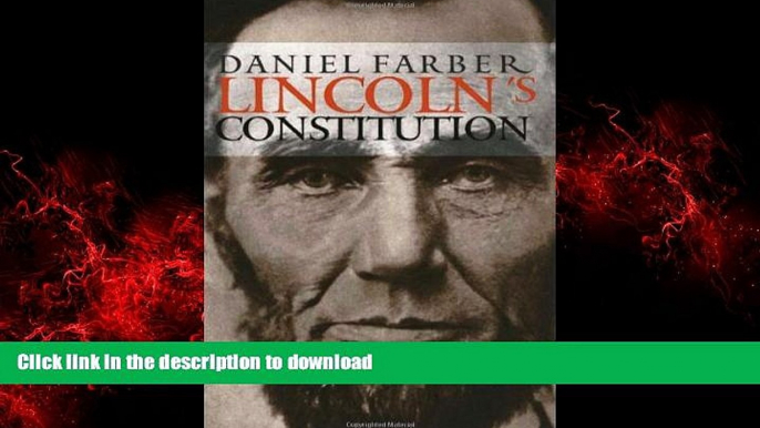 Best book  Lincoln s Constitution online