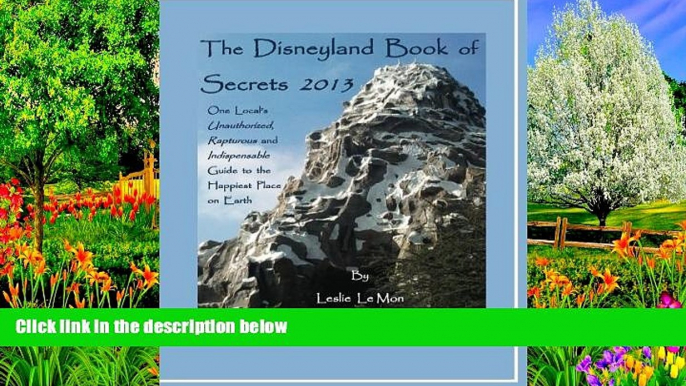 Big Deals  The Disneyland Book of Secrets 2013: One Local s Unauthorized, Rapturous and