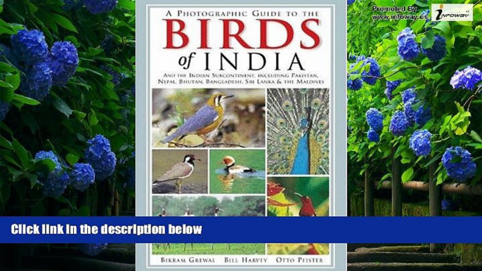 Big Deals  A Photographic Guide to the Birds of India: And the Indian Subcontinent, Including