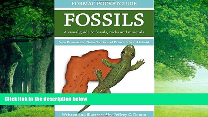 Big Deals  Formac Pocketguide to Fossils: Fossils, Rocks   Minerals in Nova Scotia, New Brunswick