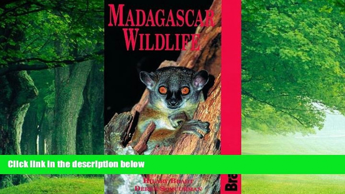 Best Buy Deals  Madagascar Wildlife (Bradt Guides)  Full Ebooks Most Wanted