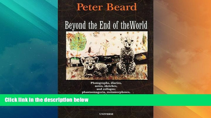 Buy NOW  Beyond the End of the World  Premium Ebooks Best Seller in USA