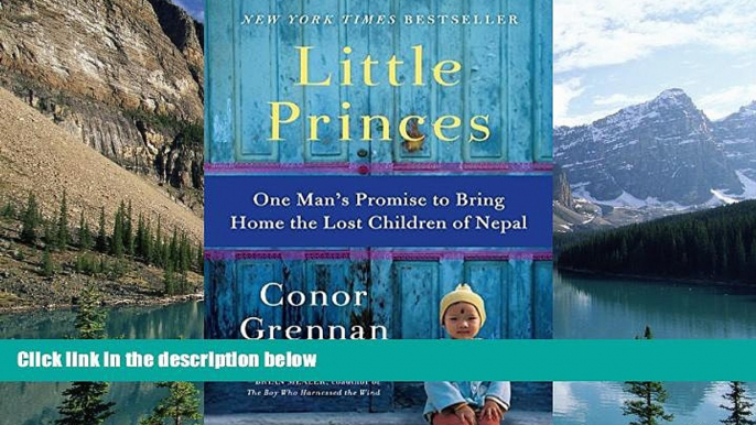 Books to Read  Little Princes: One Man s Promise to Bring Home the Lost Children of Nepal  Best
