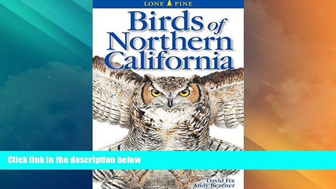 Deals in Books  Birds of Northern California (Lone Pine Field Guides)  Premium Ebooks Online Ebooks