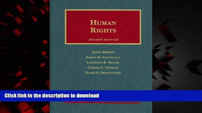 Best book  Human Rights (University Casebook Series)