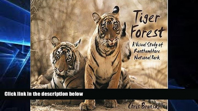 Must Have  Tiger Forest: A Visual Study of Ranthambhore National Park  Full Ebook