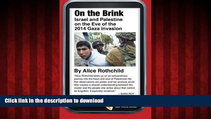 liberty books  On the Brink: Israel and Palestine on the Eve of the 2014 Gaza Invasion