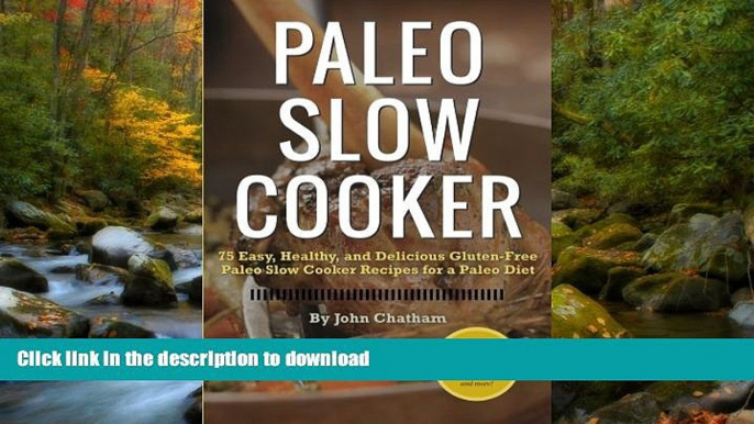 READ BOOK  Paleo Slow Cooker: 75 Easy, Healthy, and Delicious Gluten-Free Paleo Slow Cooker