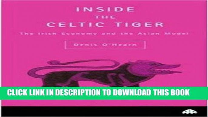 Ebook Inside the Celtic Tiger (Contemporary Irish Studies) Free Read