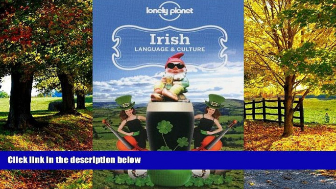 Best Buy Deals  Irish Language   Culture (Lonely Planet Language   Culture: Irish)  BOOOK ONLINE