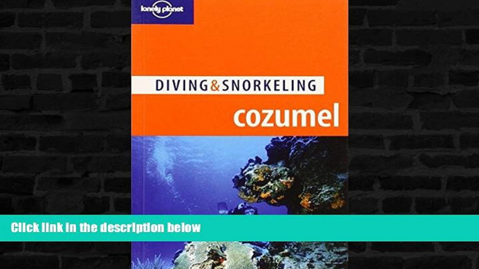 Best Buy Deals  Lonely Planet Diving   Snorkeling Cozumel (Lonely Planet Diving and Snorkeling