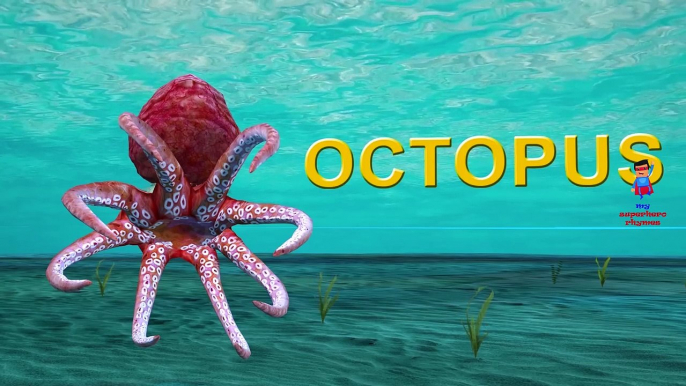 Deadly Sea Creatures For Kids | Learning Sea Animals For Children | Learn Sea Creatures Names