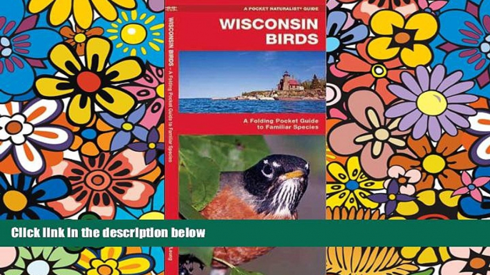 Buy James Kavanagh Wisconsin Birds: A Folding Pocket Guide to Familiar Species (Pocket Naturalist