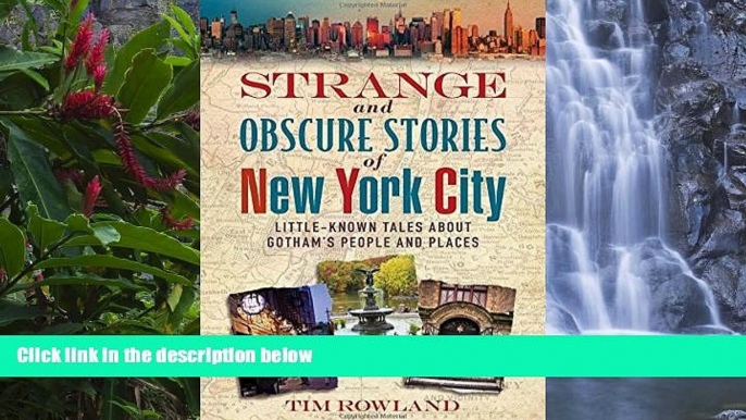 Buy Tim Rowland Strange and Obscure Stories of New York City: Little-Known Tales About Gotham s