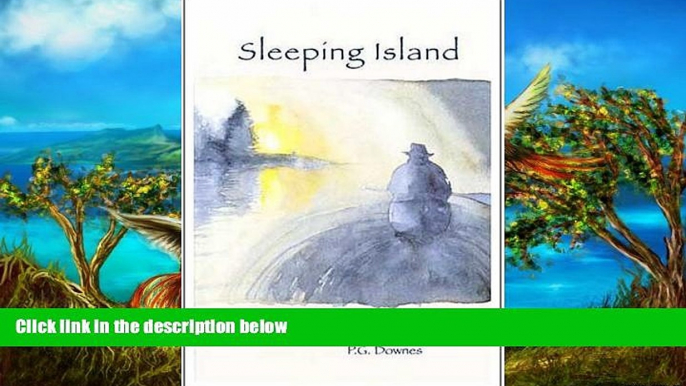 Big Deals  Sleeping Island: The Story of One Man s Travels in the Great Barren Lands of the