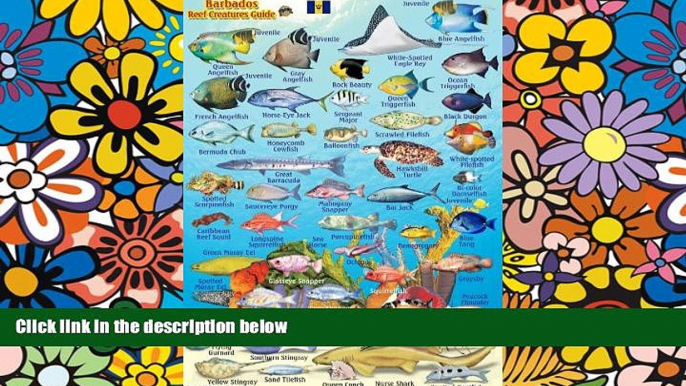 Ebook deals  Barbados Reef Creatures Guide Franko Maps Laminated Fish Card 4" x 6"  Full Ebook