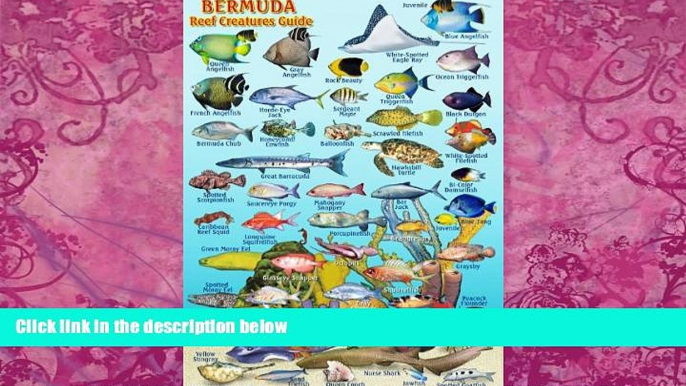 Best Buy Deals  Bermuda Reef Creatures Guide Franko Maps Laminated Fish Card 4" x 6"  Full Ebooks