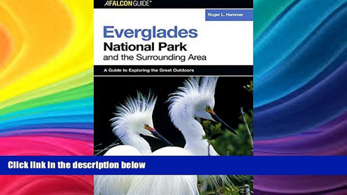 Big Sales  A FalconGuideÂ® to Everglades National Park and the Surrounding Area (Exploring