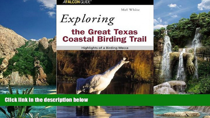 Big Sales  Exploring the Great Texas Coastal Birding Trail: Highlights of a Birding Mecca