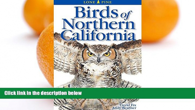 Deals in Books  Birds of Northern California (Lone Pine Field Guides)  Premium Ebooks Best Seller