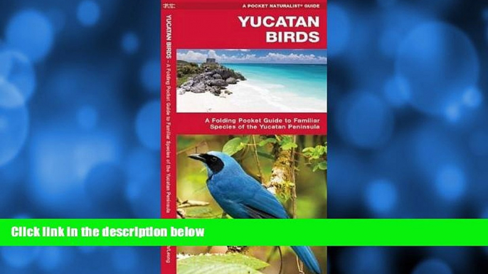 Big Sales  Yucatan Birds (Pocket Naturalist Guide Series)  Premium Ebooks Best Seller in USA