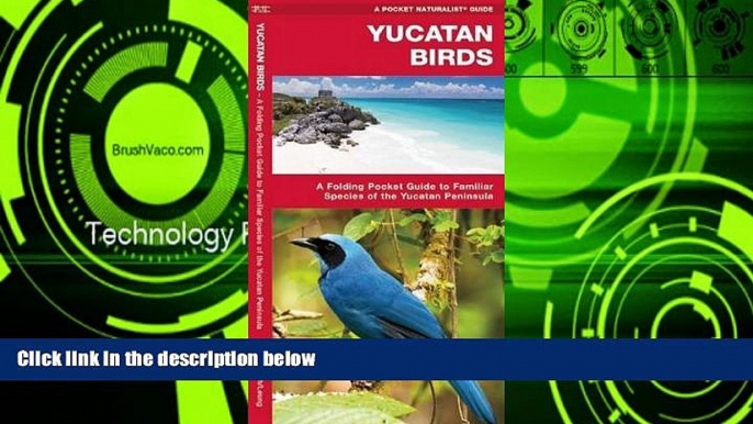 Deals in Books  Yucatan Birds (Pocket Naturalist Guide Series)  Premium Ebooks Online Ebooks