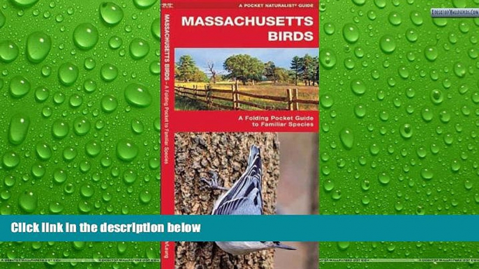 Big Sales  Massachusetts Birds: A Folding Pocket Guide to Familiar Species (Pocket Naturalist