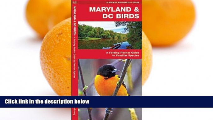 Deals in Books  Maryland   DC Birds: A Folding Pocket Guide to Familiar Species (Pocket Naturalist