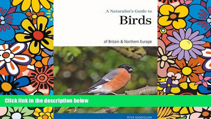 Must Have  A Naturalist s Guide to the Birds of Britain   Northern Europe (Naturalist s Guides)