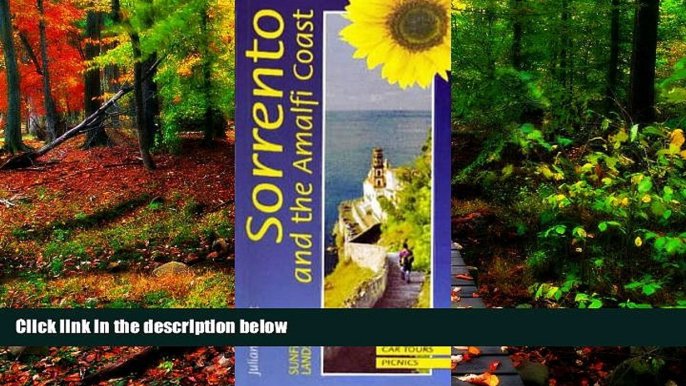 READ NOW  Landscapes of Sorrento and the Amalfi Coast (Sunflower Countryside Guides)  Premium