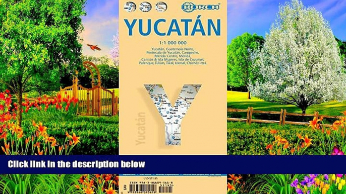 Deals in Books  Laminated Yucatan Map by Borch (English) (English, Spanish, French, Italian and