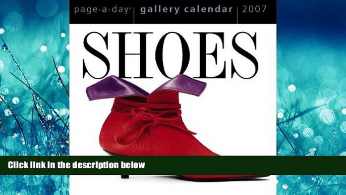 different   Shoes Gallery Calendar 2007 (Page-A-Day Gallery Calendars)