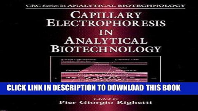 Ebook Capillary Electrophoresis in Analytical Biotechnology: A Balance of Theory and Practice