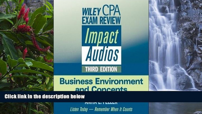 Big Deals  Wiley CPA Exam Review Impact Audios: Business Environment and Concepts (Wiley CPA