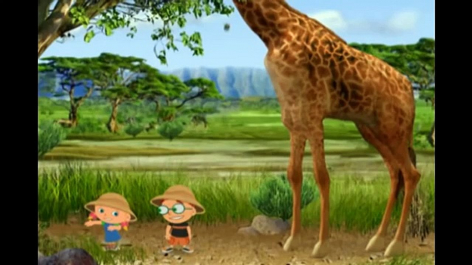 Little Einsteins Little Einsteins S01 E023 Rocket Safari - ViDoe