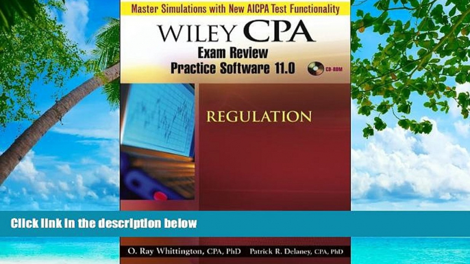 READ NOW  Wiley CPA Examination Review Practice Software 11.0 Reg  BOOOK ONLINE