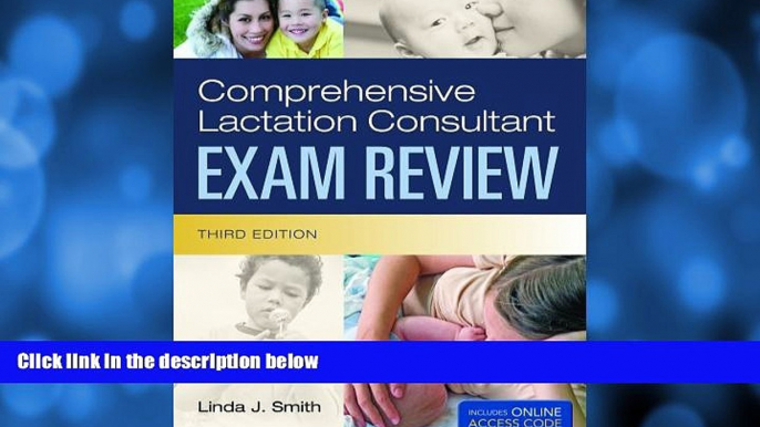 Big Deals  Comprehensive Lactation Consultant Exam Review (Smith, Comprehensive Lactation