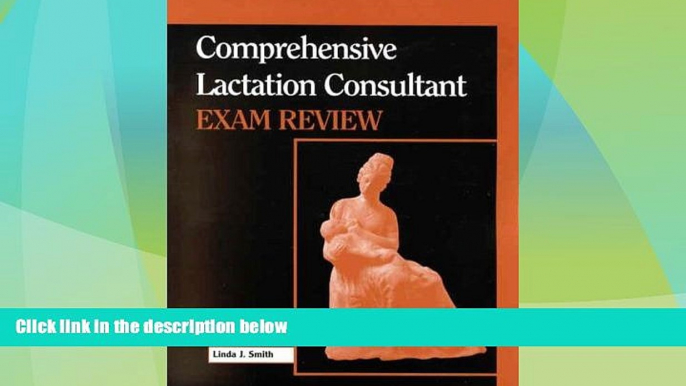 Big Sales  Comprehensive Lactation Consultant Exam Review (Book with CD-ROM for Windows