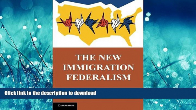 FAVORITE BOOK  The New Immigration Federalism FULL ONLINE