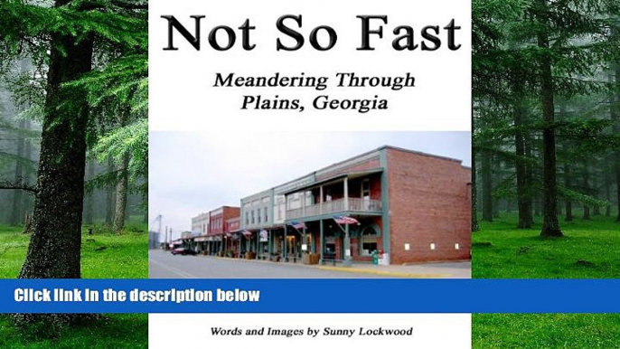 Buy  Not So Fast: Meandering Through Plains, Georgia Sunny Lockwood  Full Book