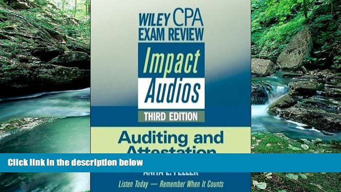 Big Sales  Wiley CPA Exam Review Impact Audios: Auditing and Attestation (Wiley CPA Examination